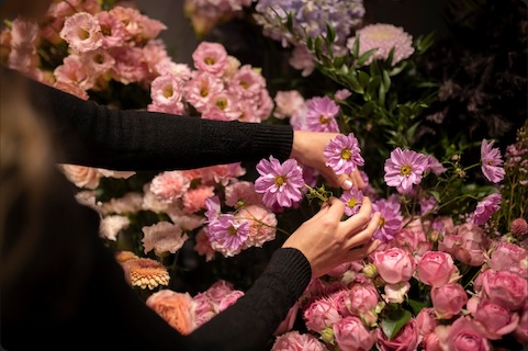Cheers florist and gift shop digital loyalty, punch card